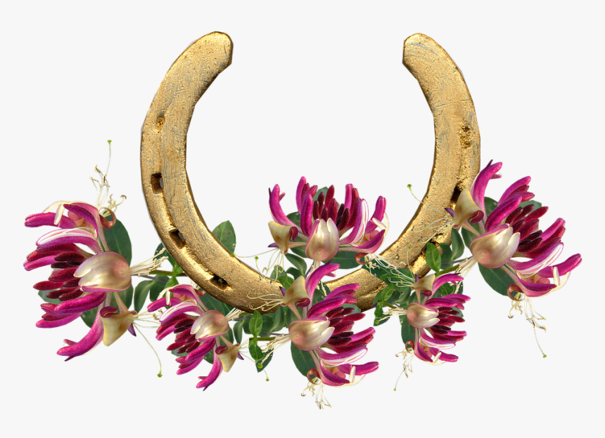 Horse Shoe, Honeysuckle, Lucky - Matoke, HD Png Download, Free Download