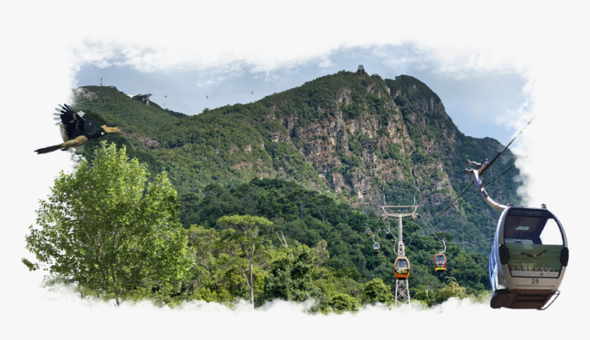 Homepage Skycab - Langkawi Cable Car Png, Transparent Png, Free Download