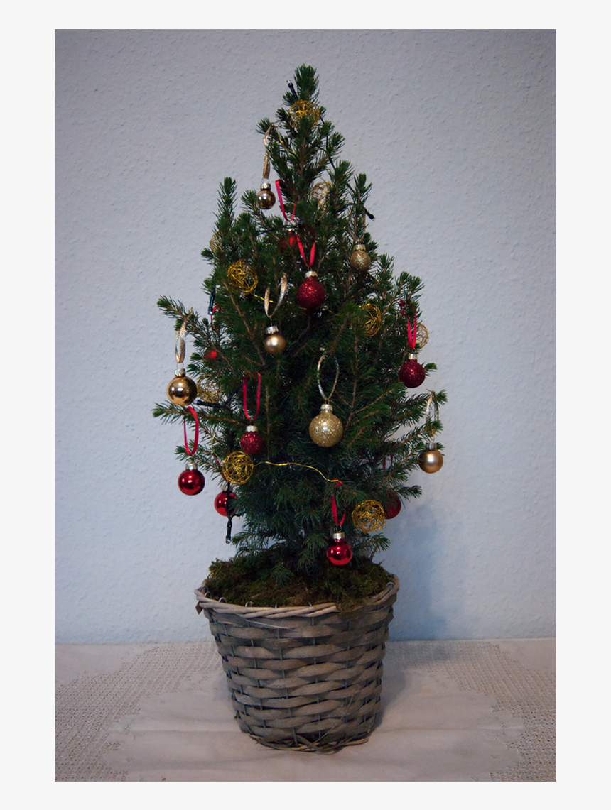 Christmas Tree, HD Png Download, Free Download