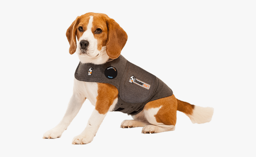 Dog Thundershirt, HD Png Download, Free Download