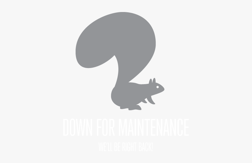 Font Squirrel Icon, HD Png Download, Free Download