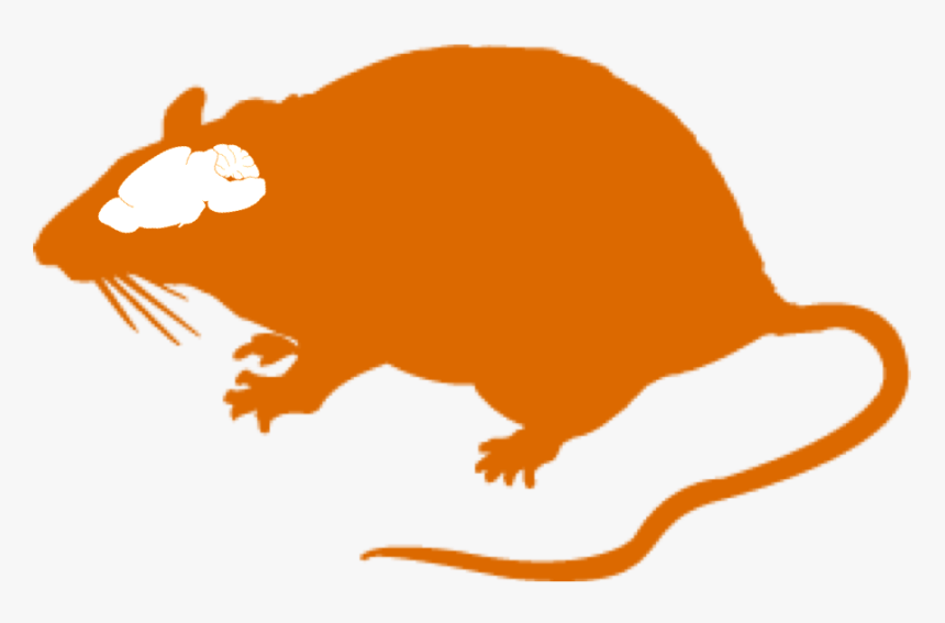 Transparent Rat Clipart Png, Png Download, Free Download