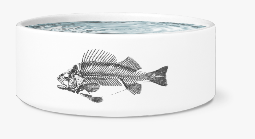 Fish Bone Bowl - Çanakkale Martyrs' Memorial, HD Png Download, Free Download