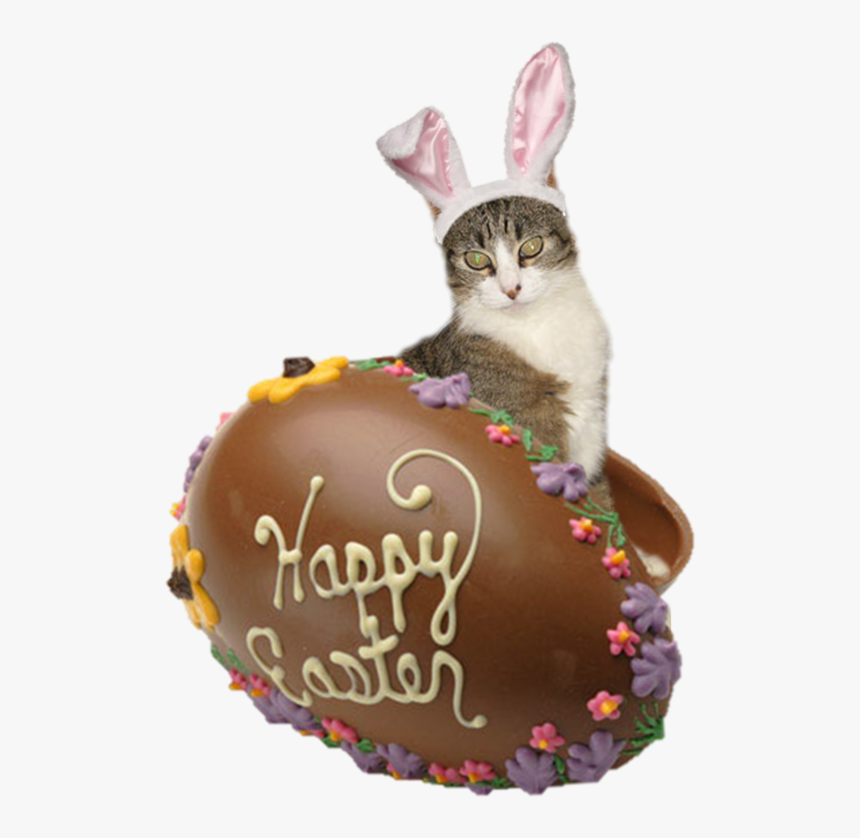 Chocolate Easter Eggs, HD Png Download, Free Download
