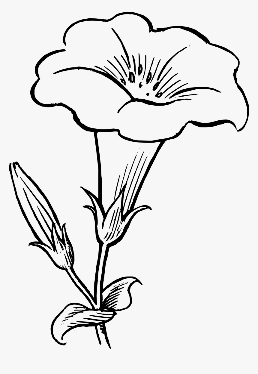 Black And White Flower Border Clipart Flower Black - Flower Black And White, HD Png Download, Free Download