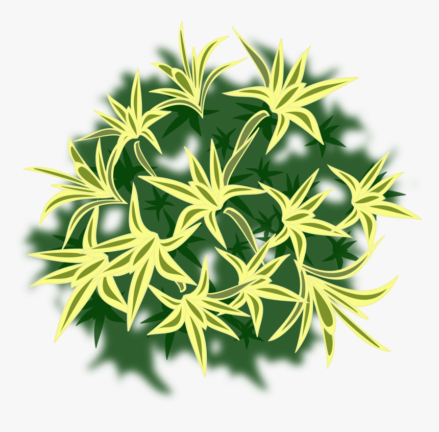 Plant-01a Clip Arts - Plants, HD Png Download, Free Download