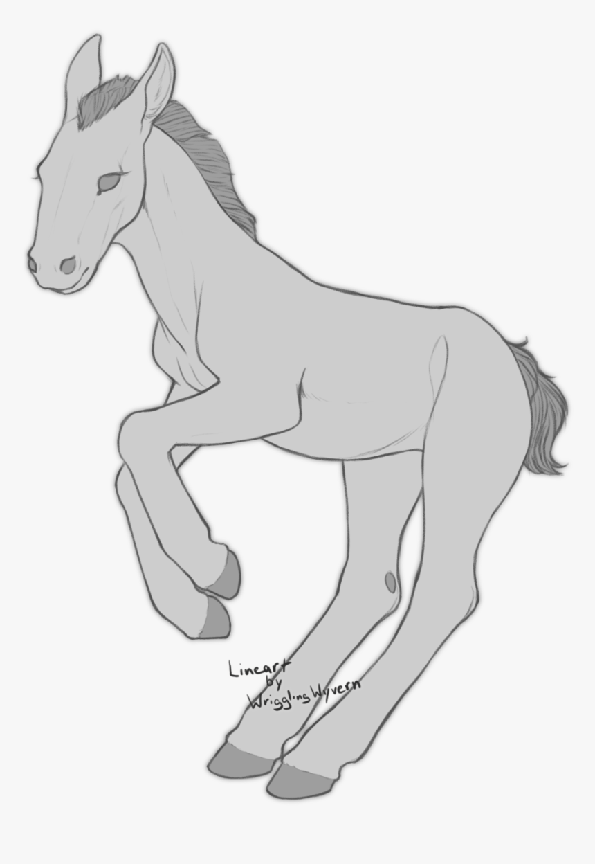 Base Foal Foal Hd Png Download Kindpng