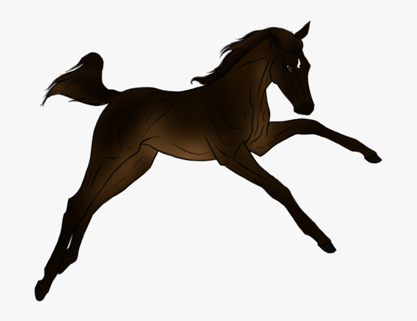 Foal Horse Stallion Pony Mane - Mane, HD Png Download, Free Download