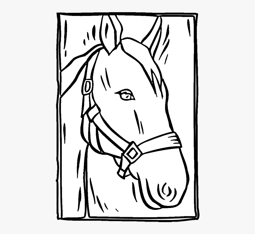 horse head coloring pages  mane hd png download  kindpng