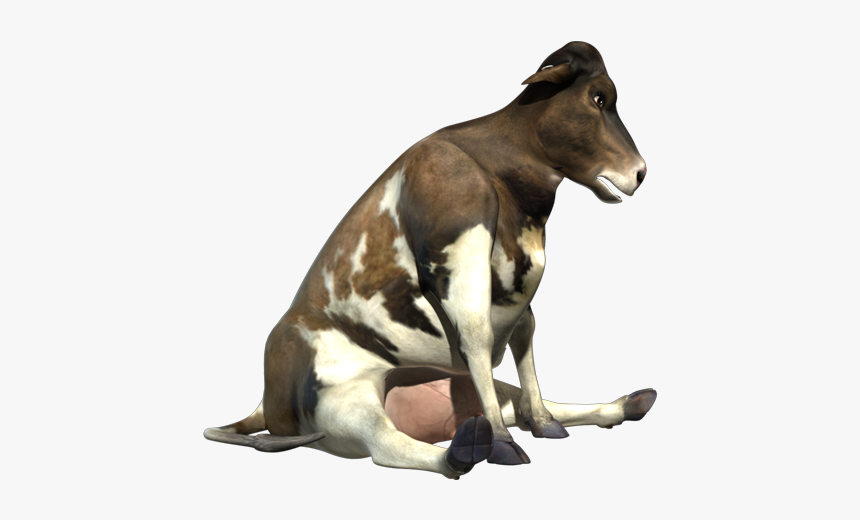 Rosie Sitting - Cow Sit Png, Transparent Png, Free Download