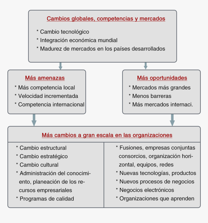 Innovacion Diseño Organizacional - Cambio Radical Diseño Organizacional, HD Png Download, Free Download