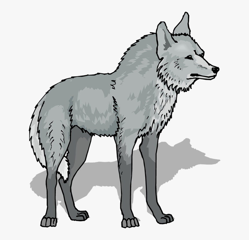 Картинка волк на прозрачном фоне. Волк мультяшный. Волк для детей на прозрачном фоне.