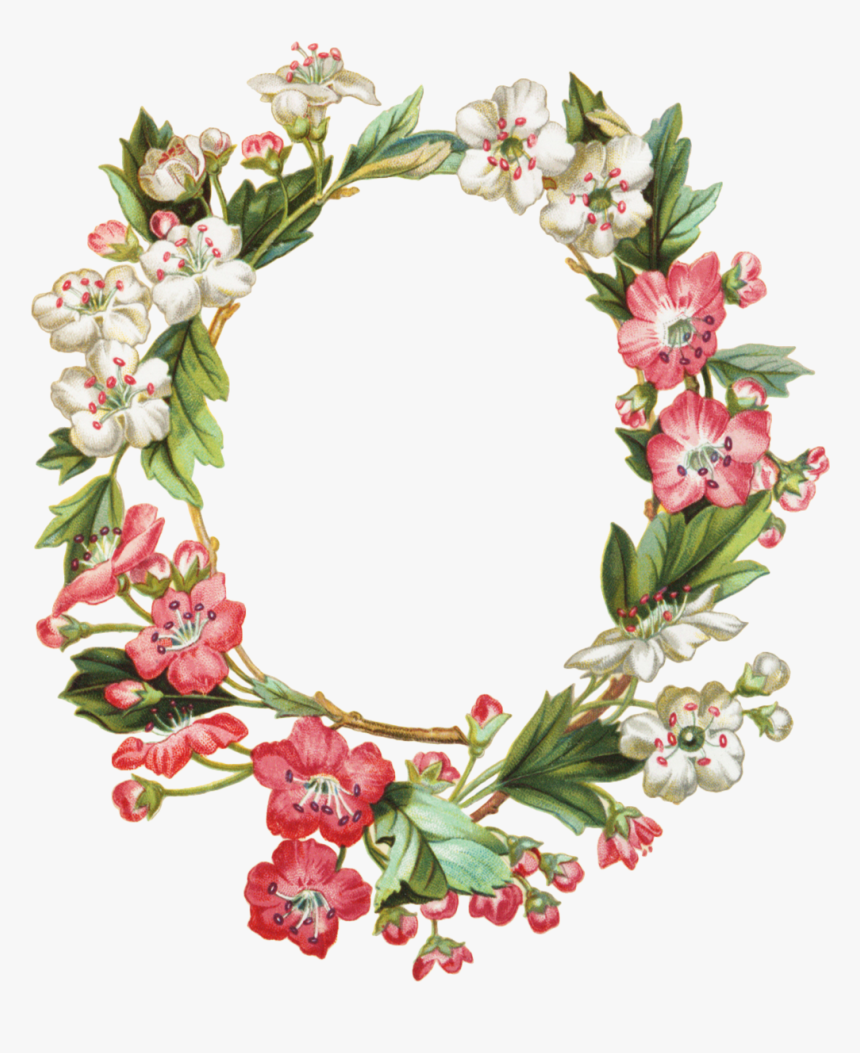 Apple Blossom Wreath - Flower Oval Frame Transparent, HD Png Download, Free Download