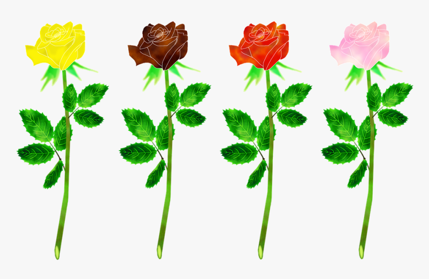 Roses Flowers, Plant, Rose, Gradient, Flowers, Leaf - Pimpollo De Rosa Png, Transparent Png, Free Download