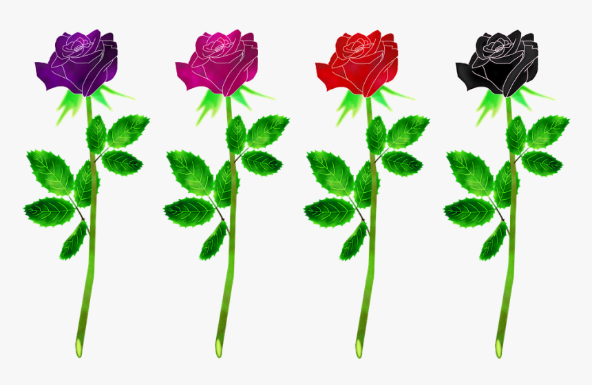 Roses Flowers, Plant, Rose, Gradient, Flowers, Leaf - Rose, HD Png Download, Free Download