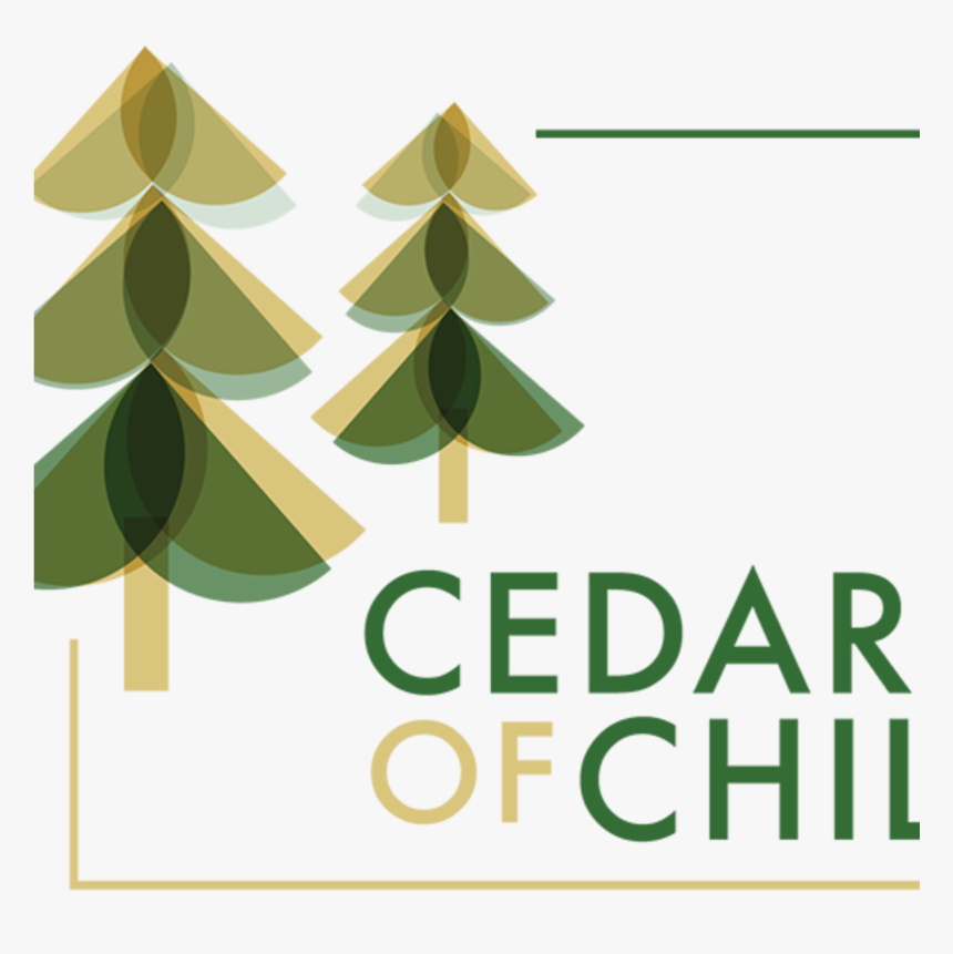 Cedars Of Chili - Christmas Tree, HD Png Download, Free Download