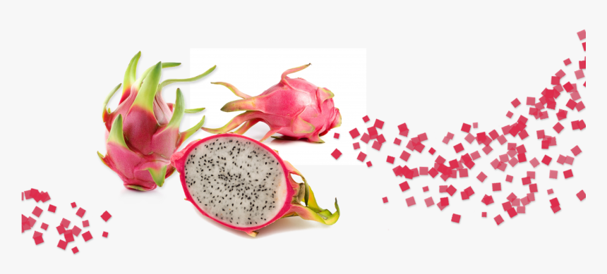 Dragon Fruit - Dragon Fruit Background Png, Transparent Png, Free Download