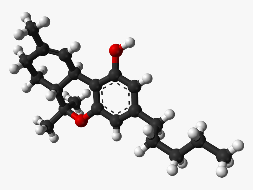 Ball And Stick Procaine, HD Png Download, Free Download