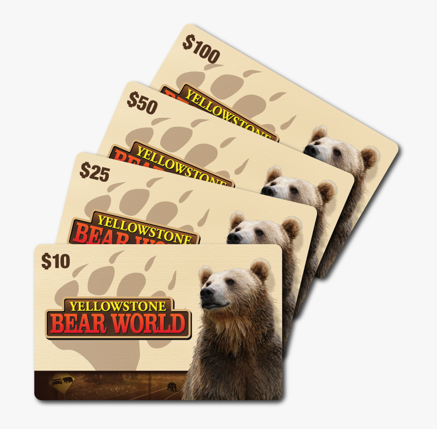 Yellowstone Bear World Gift Card - Grizzly Bear, HD Png Download, Free Download