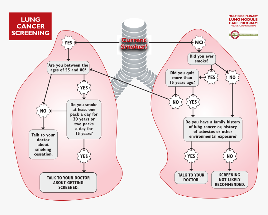 Diagram, HD Png Download, Free Download