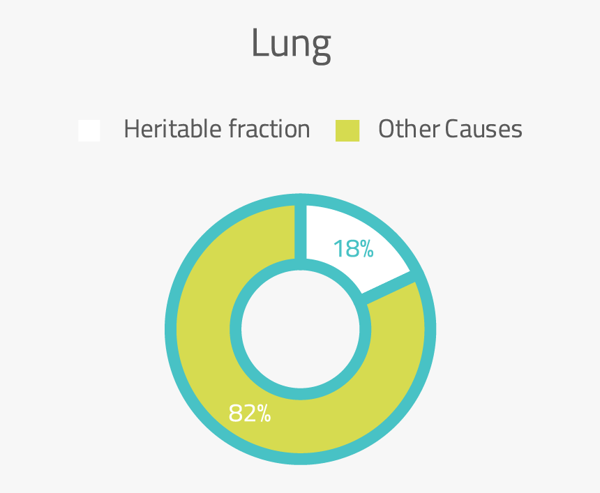 Transparent Lung Png - Circle, Png Download, Free Download