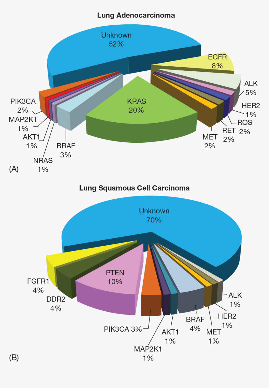 Diagram, HD Png Download, Free Download