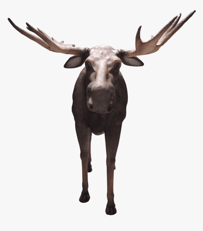 Horn, HD Png Download, Free Download