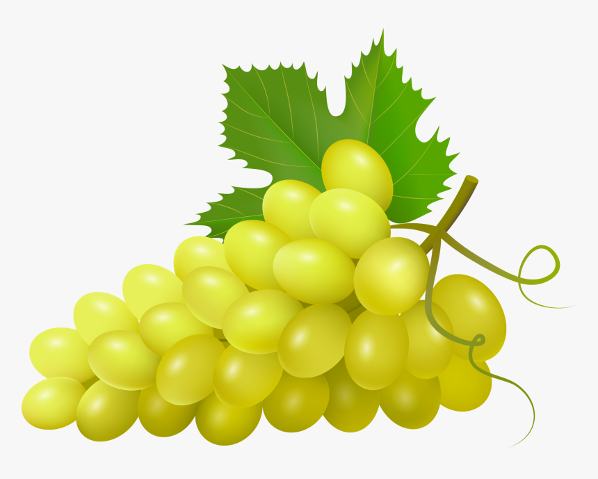 Download Svg Royalty Free Grapes Clipart Watercolor Uvas Clipart Hd Png Download Kindpng