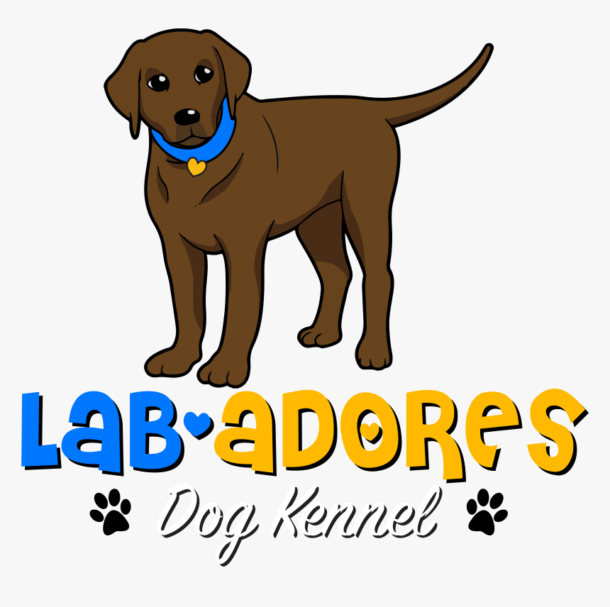 Lab-adores - Labrador Retriever, HD Png Download, Free Download