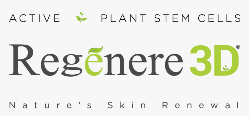 Transparent Plant Stem Png - Graphic Design, Png Download, Free Download