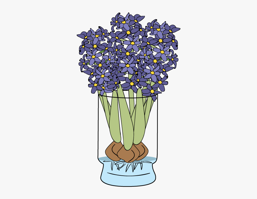 Hyacinth, HD Png Download, Free Download