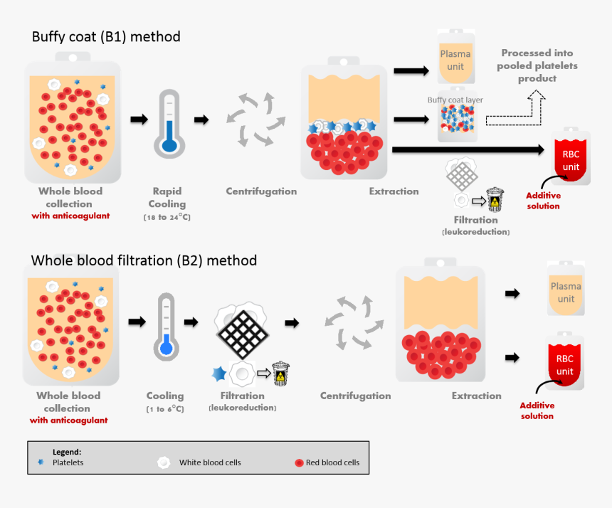 Blood Transfusion Components, HD Png Download, Free Download