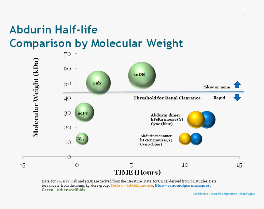 Half Life Of Molecules, HD Png Download, Free Download