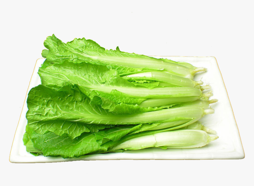 Transparent Cabbage Png - 小 白菜, Png Download, Free Download