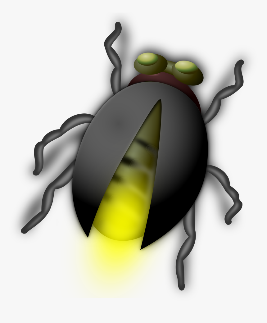 Lightning Bug Buddy Clip Arts - Bug Clip Art, HD Png Download, Free Download