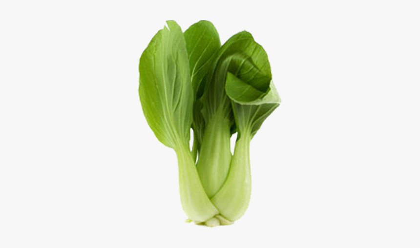 Bok Choy Png, Transparent Png, Free Download