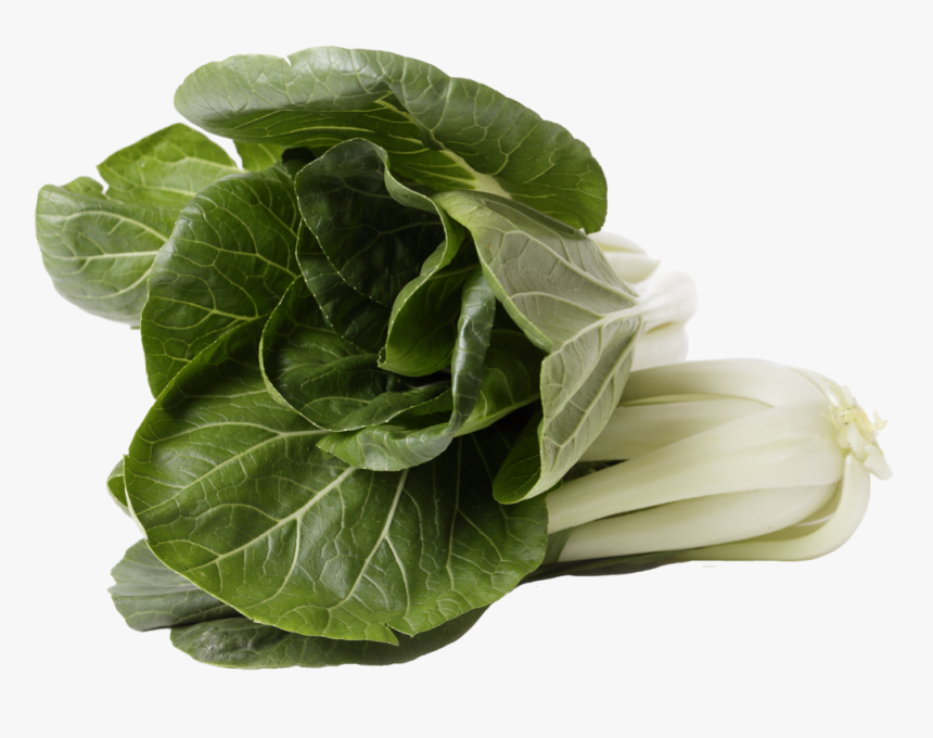 Bok Choy Png, Transparent Png, Free Download