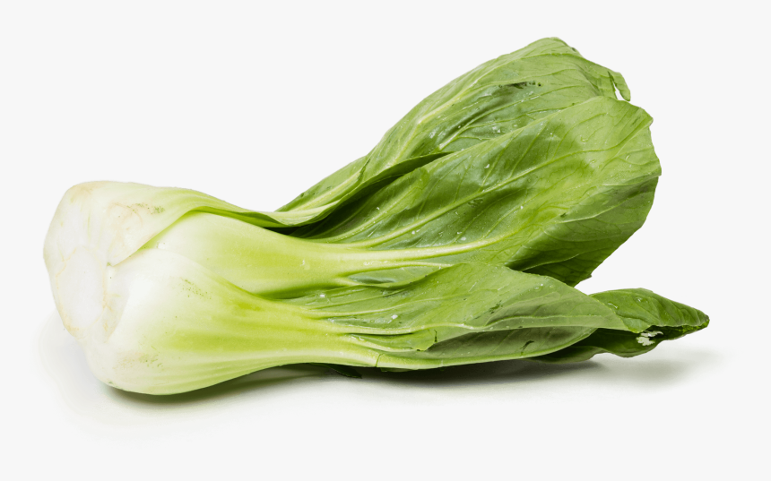 Chinese-cabbage - Shanghai Bok Choy, HD Png Download, Free Download