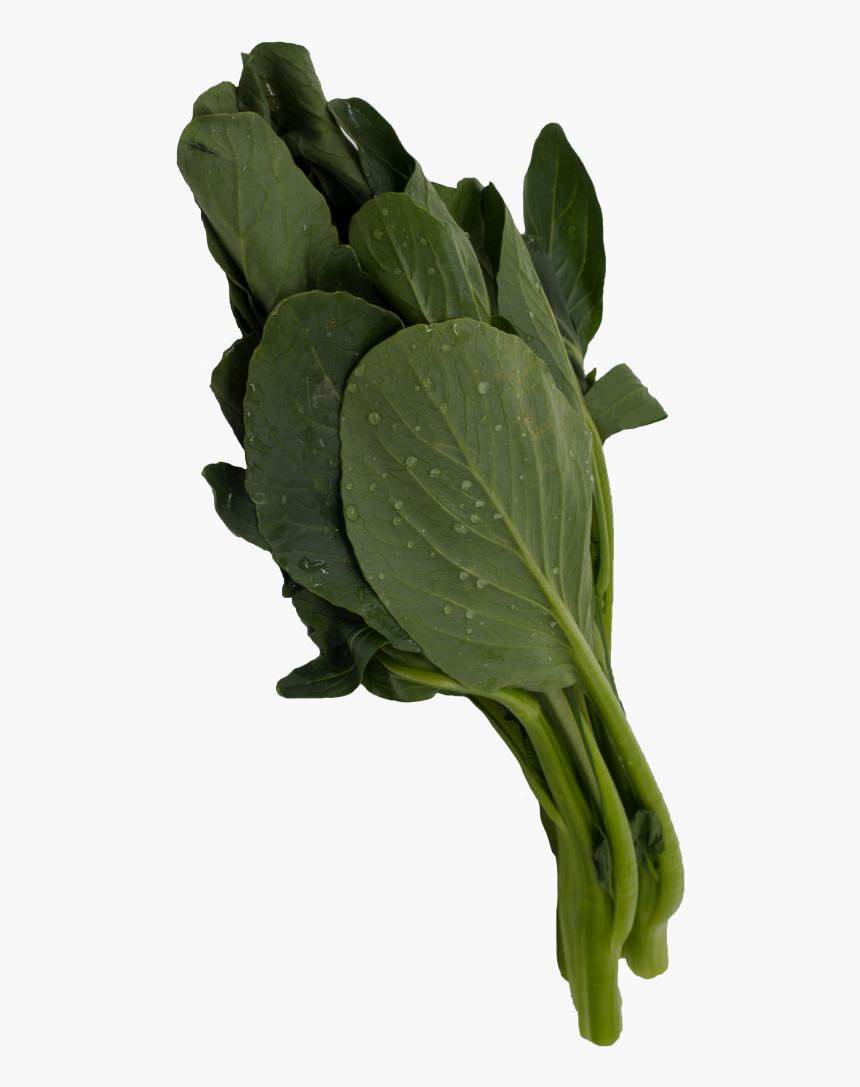 Gai Lan Chinese Vegetable - Spinach, HD Png Download, Free Download