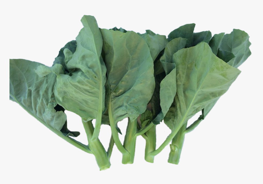 Chard, HD Png Download, Free Download