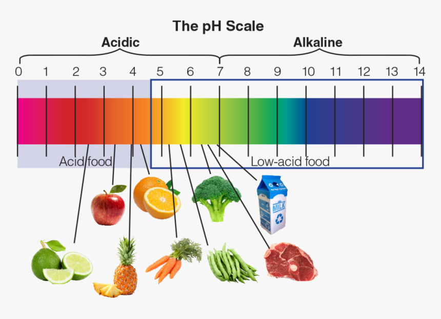 Ph Value Of Fruits, HD Png Download, Free Download