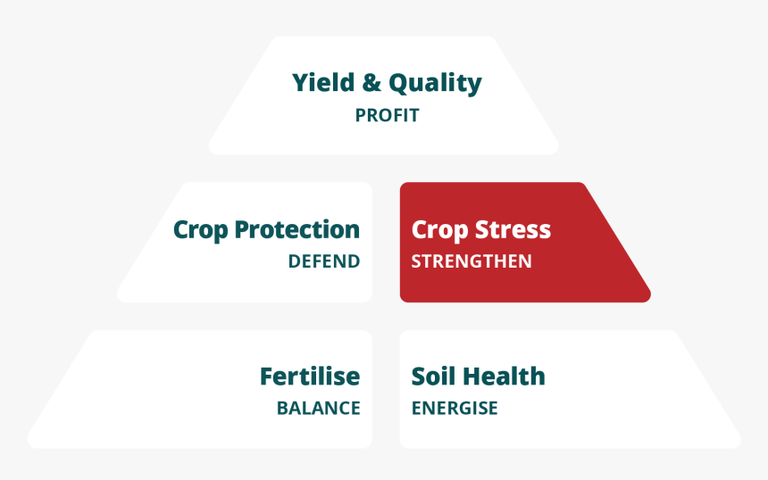 Crop Stress Pyramid - Graphic Design, HD Png Download, Free Download