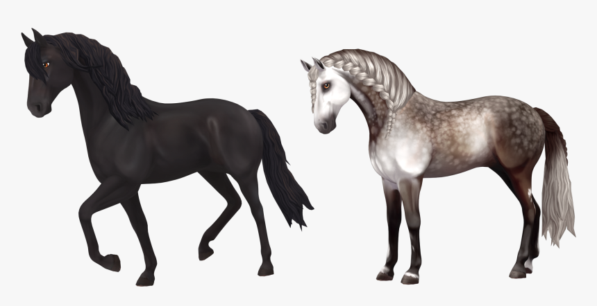 Stallion, HD Png Download, Free Download