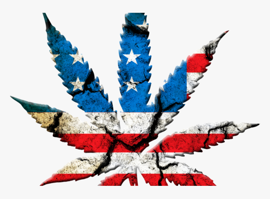 Marijuana Leaf 694336 - America Marijuana, HD Png Download, Free Download