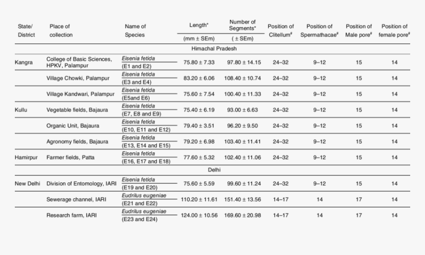 Segments In Earthworm Table, HD Png Download, Free Download