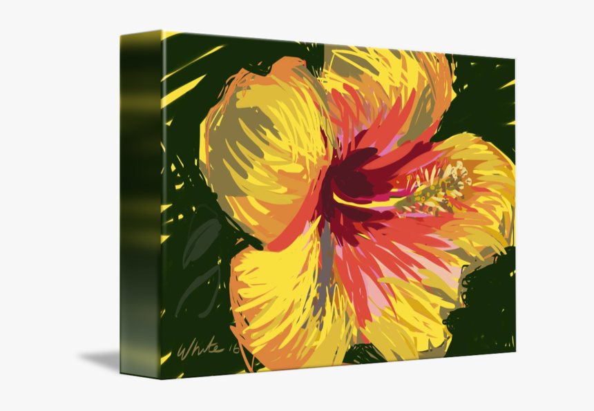 Hawaiian Hibiscus, HD Png Download, Free Download