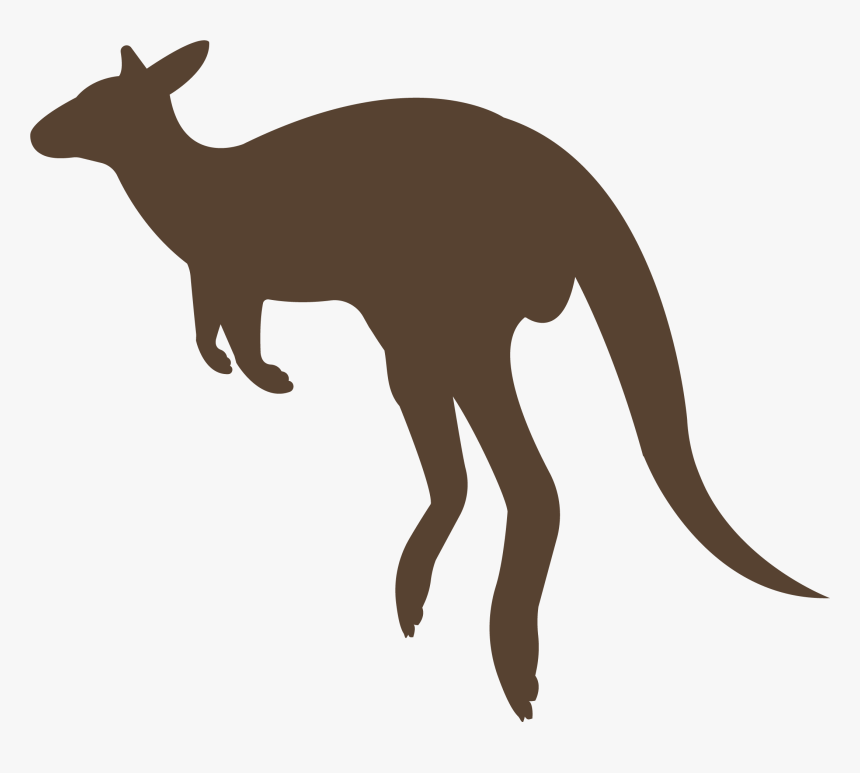 Kangaroo, HD Png Download, Free Download