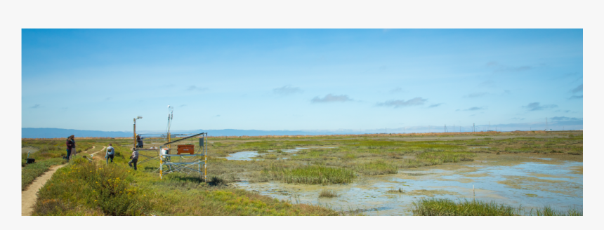 Freshwater Marsh, HD Png Download, Free Download