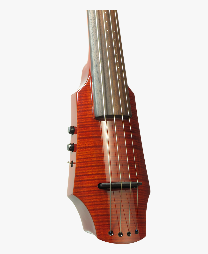 Double Bass, HD Png Download, Free Download