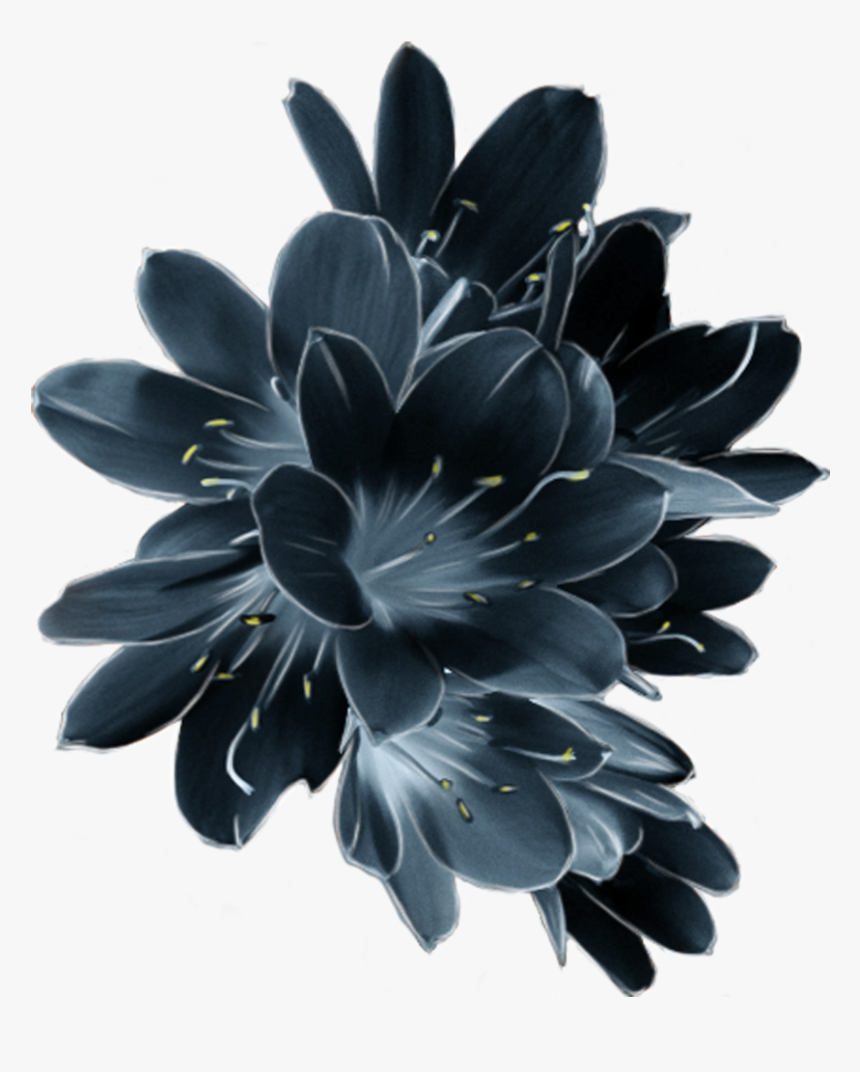 Mq Blue Flower Flowers Garden Dark, HD Png Download, Free Download